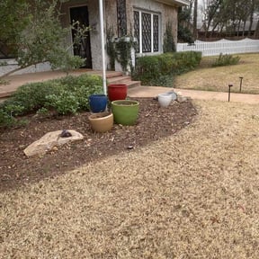 Bush Trimming by Lemons Lawn Care reviewed on January 8, 2026