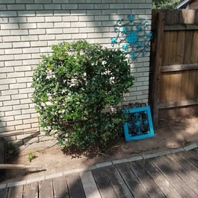 Bush Trimming by Lindsay’s lawncare reviewed on August 18, 2025
