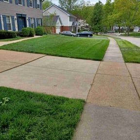 residential landscaping by Friendly Lawn Services reviewed on August 20, 2025
