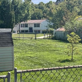 yard maintenance by Perspective Solutions LLC reviewed on August 18, 2025