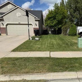 lawn service by McGuire Lawn &amp; Leaf reviewed on May 8, 2024