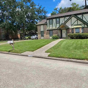 yard care by Eco Landscape &amp; Design reviewed on August 21, 2025