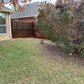 Bush Trimming by J Jrβs Lawn Maintenance reviewed on August 20, 2025