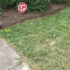 Bush Trimming by Double J Professional Services, LLC reviewed on August 20, 2025