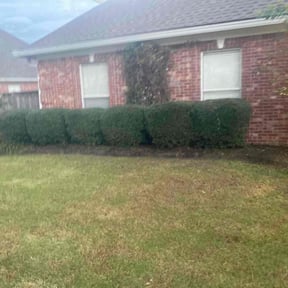 Bush Trimming by Biggs customs reviewed on August 15, 2025
