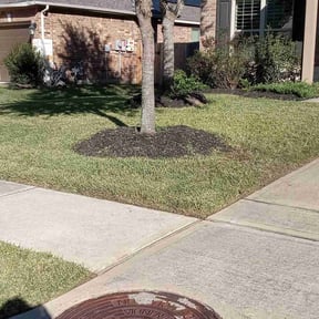 grass maintenance by Cutz Lawn Care reviewed on November 29, 2023