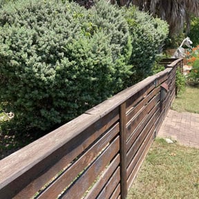 Bush Trimming by Southern Lawn Rescue Guys LLC. reviewed on August 18, 2025