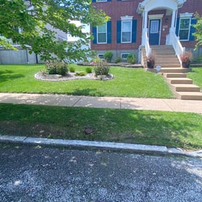 yard service by Select Cuts Premium Lawn Care reviewed on August 19, 2025