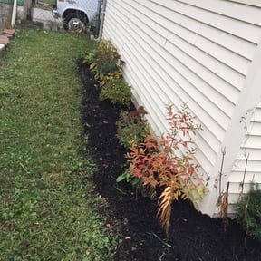 Flower Bed Weeding by 2TXT LLC reviewed on August 21, 2025
