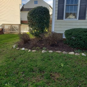 Bush Trimming by MCL All Around Services, LLC reviewed on August 1, 2024