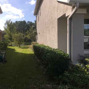 Bush Trimming by Casique landscaping inc. reviewed on August 19, 2025