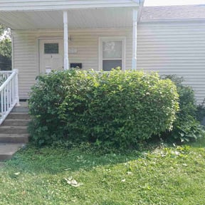 Bush Trimming by Exclusive lawns reviewed on August 16, 2025