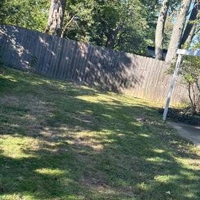 Bush Trimming by Damascus Home Properties reviewed on October 24, 2025