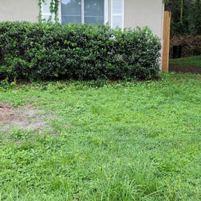 Bush Trimming by Premium Design Landscaping Inc reviewed on August 16, 2025