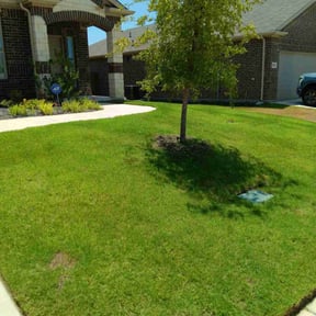 yard service by Manatee Lawn and Tree reviewed on October 22, 2024