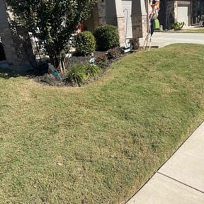 Bush Trimming by Hector&#039;s Lawn Care reviewed on November 5, 2025