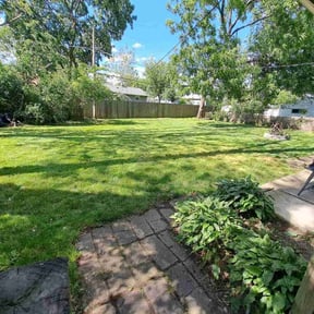 Cleanups by Thomas Lawn Care reviewed on August 21, 2025