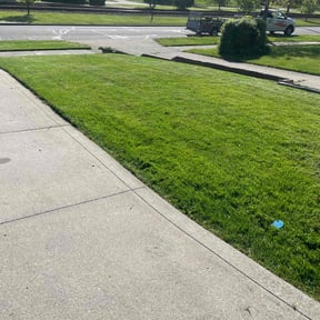yard maintenance by LoneStar Mow Pros reviewed on August 20, 2025
