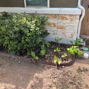 Flower Bed Weeding by East Coast Property  Innovations llc reviewed on March 26, 2026