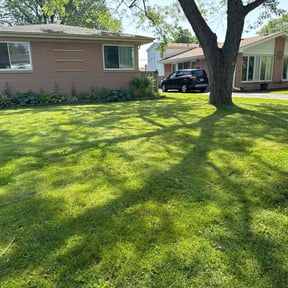 yard work by Jose Perez Landscaping reviewed on August 19, 2025
