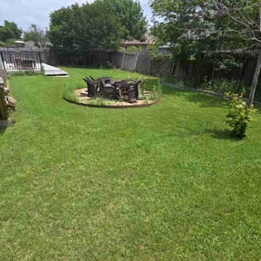 yard service by Mann Services reviewed on August 20, 2025
