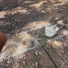 Flower Bed Weeding by Hart&#039;s landscaping reviewed on November 24, 2025