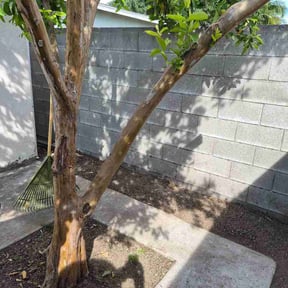 Leaf Removal by Greenway landscapers LLC reviewed on March 22, 2026