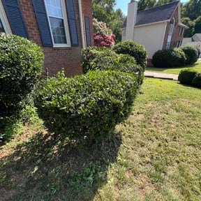 Bush Trimming by Gary’s Lawn Care reviewed on August 5, 2026