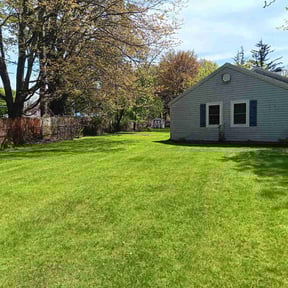 yard work by Victoria Landscaping, LLc reviewed on August 19, 2025