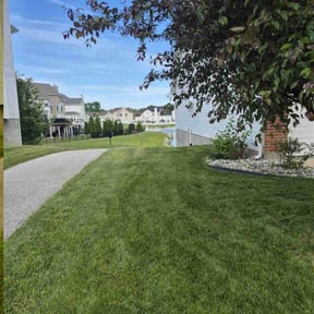 yard maintenance by GreenMan Lawns reviewed on August 18, 2025