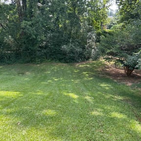 landscaping by Design Cuts Landscaping LLC reviewed on August 17, 2025