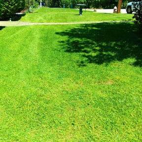 turf maintenance by Keep It Cut Lawn Services reviewed on September 5, 2023