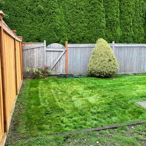 lawn service by Rsb construction reviewed on October 12, 2024