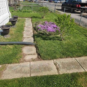 yard care by All the right cuts reviewed on August 16, 2025