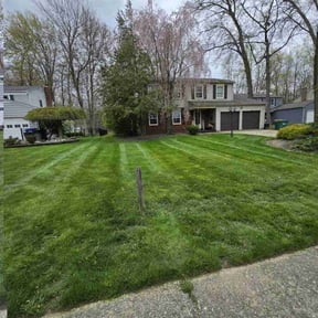 turf maintenance by Azys lawn care reviewed on August 1, 2023