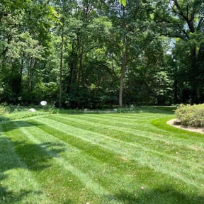 yard service by Contreras Outdoors reviewed on August 18, 2025