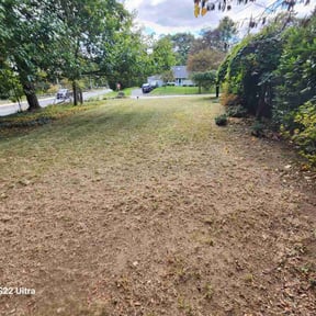 Leaf Removal by A job well done reviewed on November 9, 2025