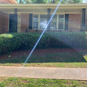 Bush Trimming by Rickys lawn care reviewed on August 16, 2025