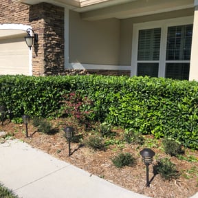 Bush Trimming by Andrew James Property Maintenance reviewed on August 18, 2025