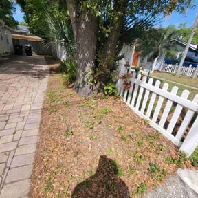 Leaf Removal by Ryry Service Inc reviewed on September 6, 2025