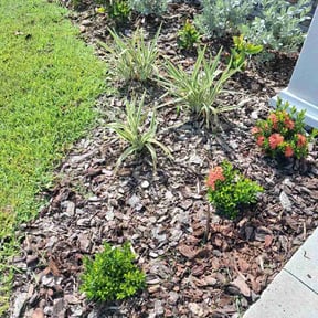 Flower Bed Weeding by Casa Verde Customs reviewed on June 21, 2026