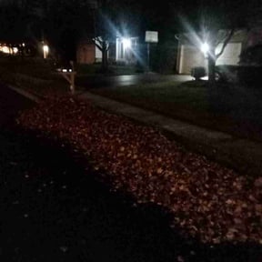 Leaf Removal by Grass Busters reviewed on December 4, 2025