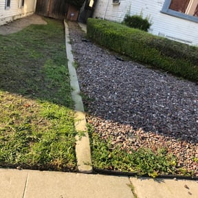 Bush Trimming by Hundred Acre Lawn Care reviewed on August 21, 2025