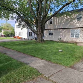 landscaping services by Carolina Country Lawn And Deck LLC reviewed on August 18, 2025