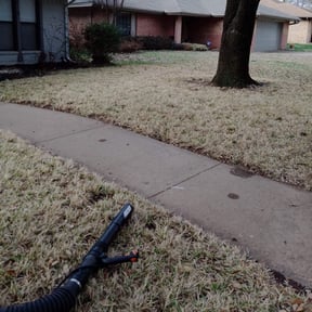 Leaf Removal by Sebastian's concrete and landscaping reviewed on August 20, 2025