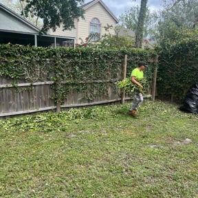 Bush Trimming by Allen Investments reviewed on August 16, 2025
