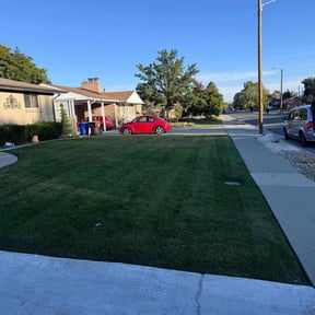 yard service by Prime1cuts reviewed on August 18, 2025