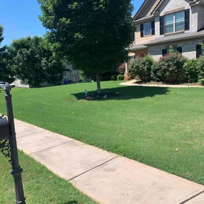 landscaping by ML Lawn Care LLC reviewed on December 11, 2025