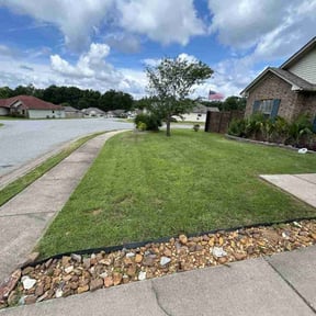 turf maintenance by Anointed Services reviewed on March 23, 2025