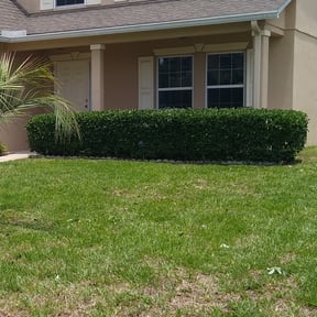 Bush Trimming by Family Lawn Care reviewed on August 20, 2025